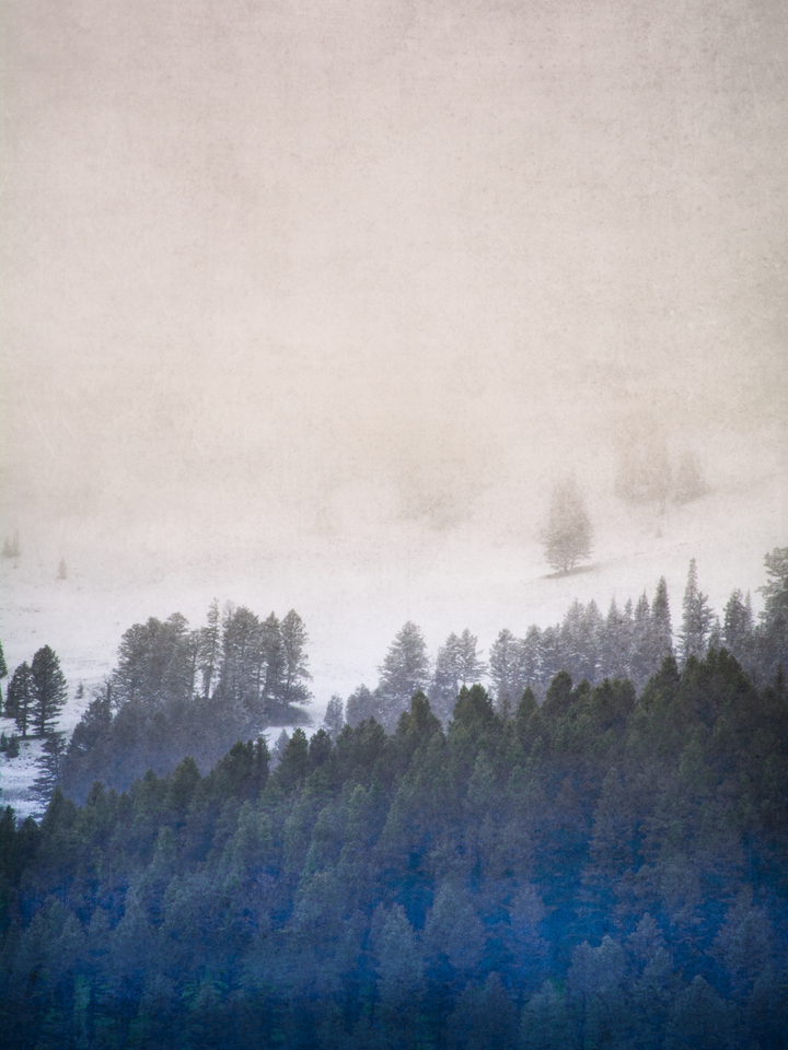 Natural Occurences No. 3