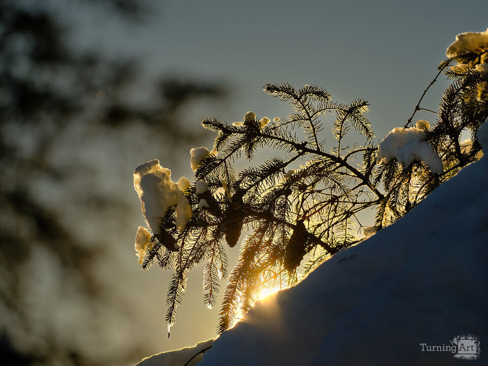 Frozen Sunrise