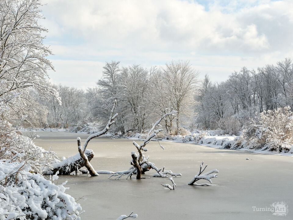 Morning after a New Jersey Snowstorm