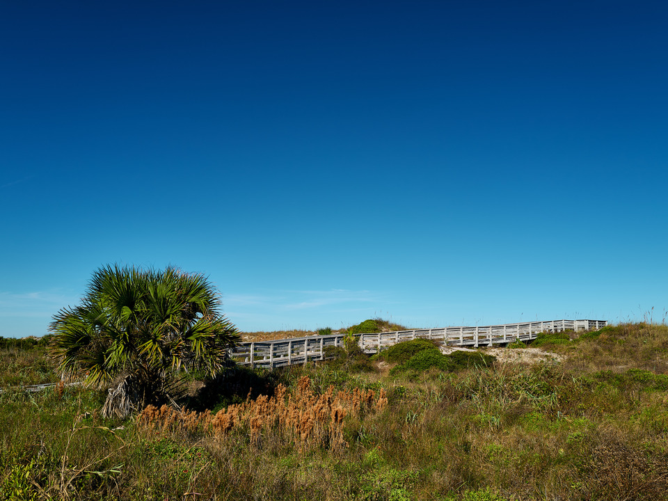 Beach Path, Anastasia Beach Florida