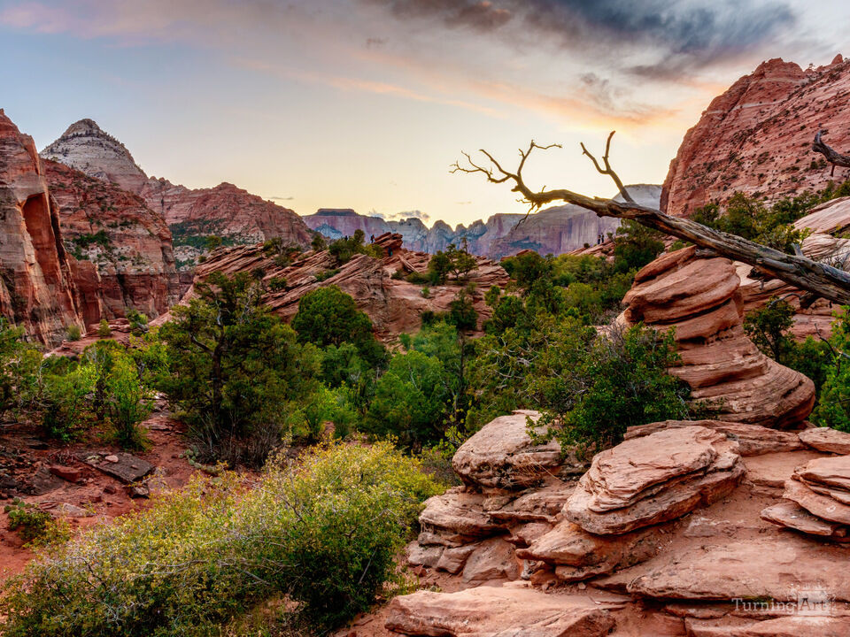 Reach For The Sunset In Zion