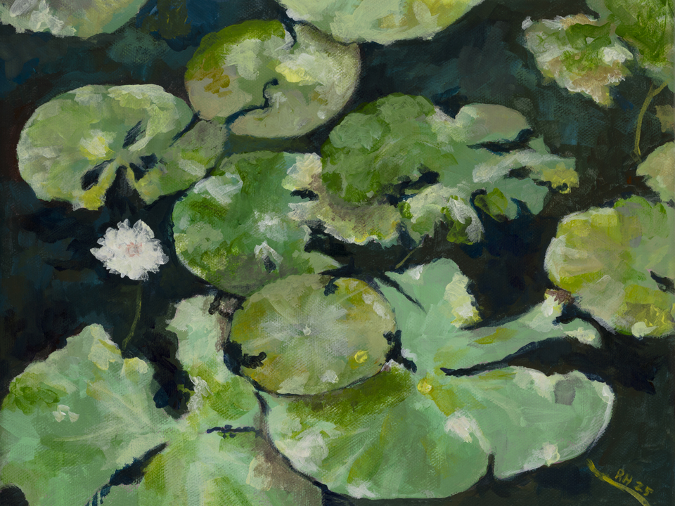 Late season Lily Pads