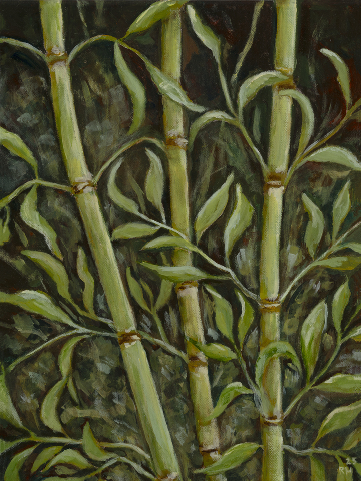 Lush Green Bamboo 