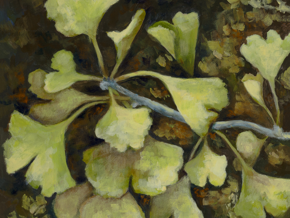 Elegant Green and Gold Ginkgo Leaves.