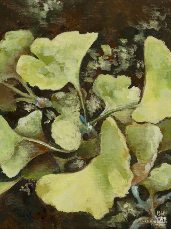 Autumn Ginkgo Leaves