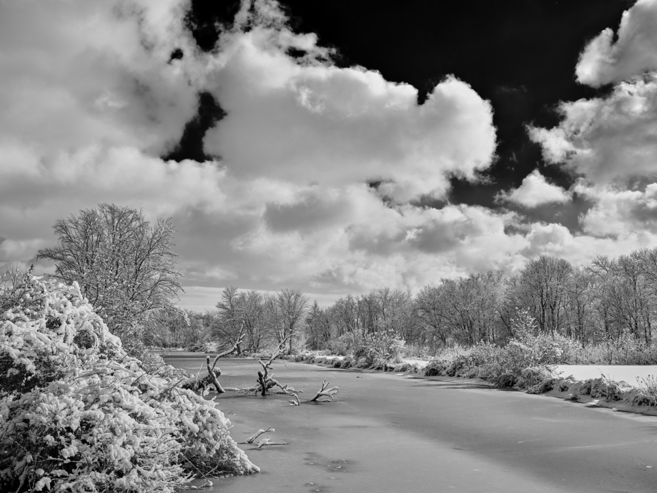 Frozen Brook in Black and White
