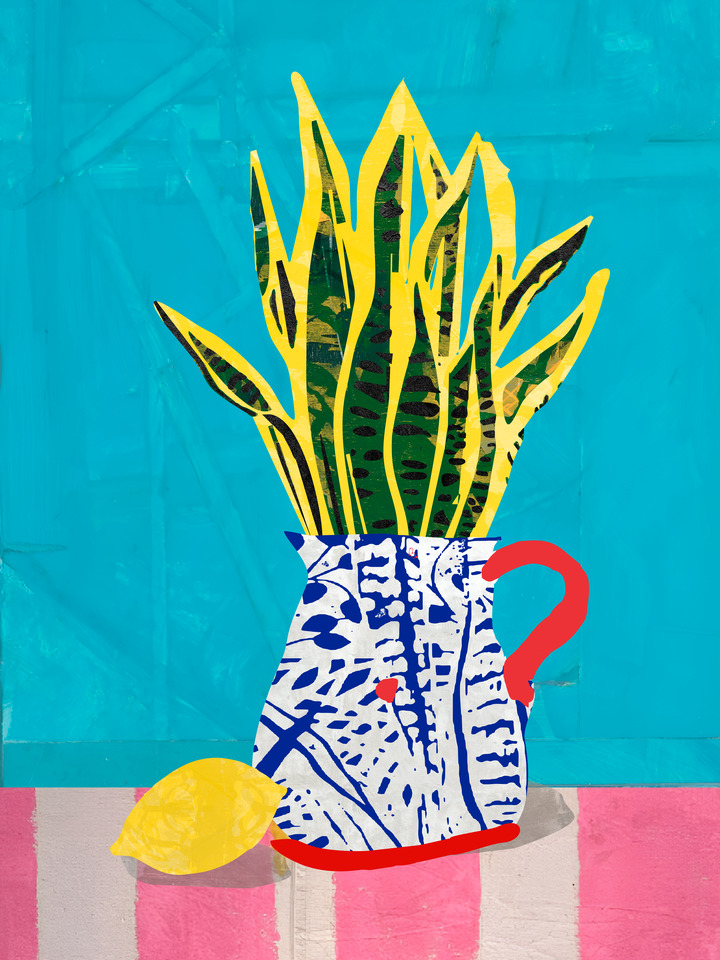 Jarro e Espada de São Jorge