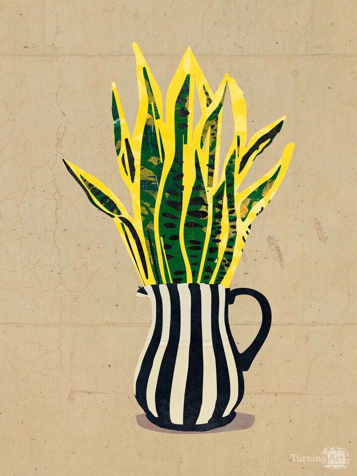 Jarro Listrado e Espada de São Jorge