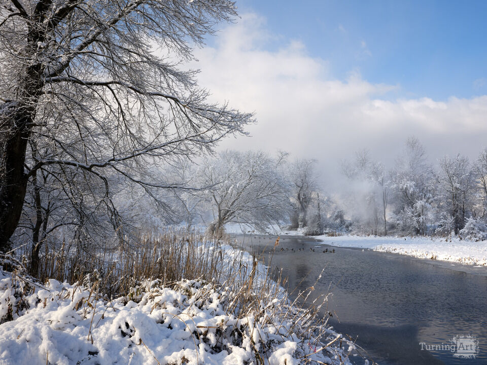 Blowing Snow and Geese in Winter Waters