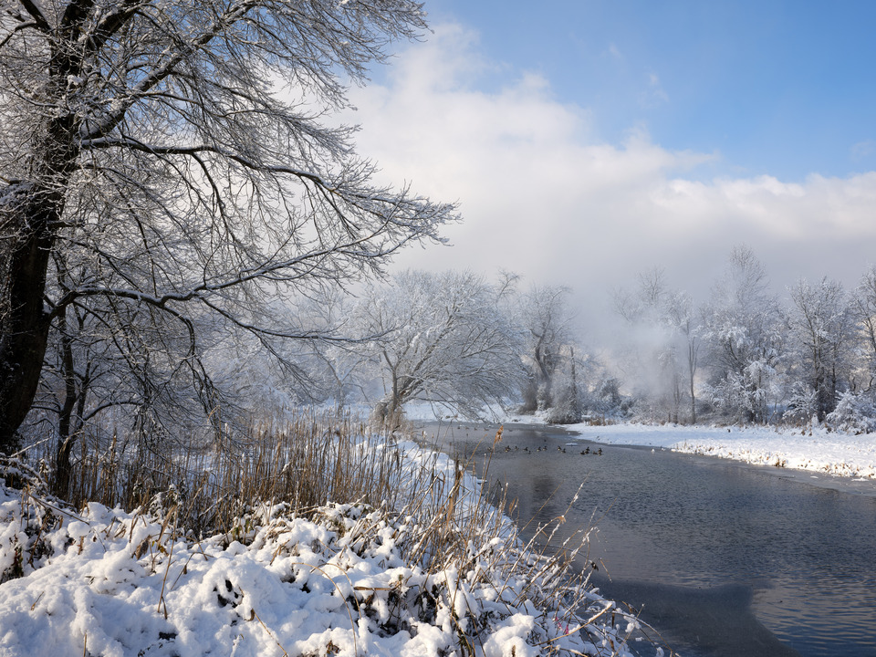 Blowing Snow and Geese in Winter Waters