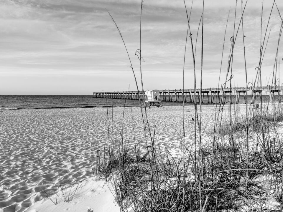Pensacola Lifeguard Station Through Sea Oats Grayscale