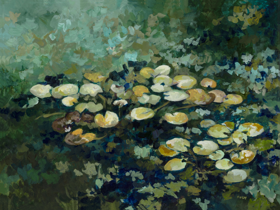 Lush Water lilies