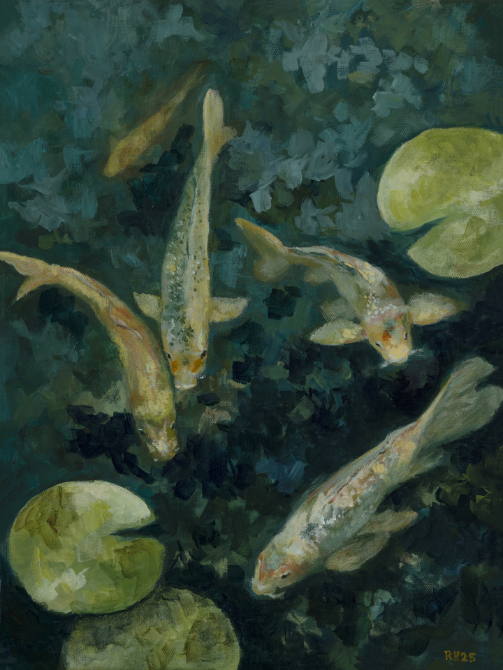 Five Koi Swimming