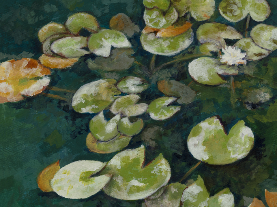 Idyllic Lily Pond