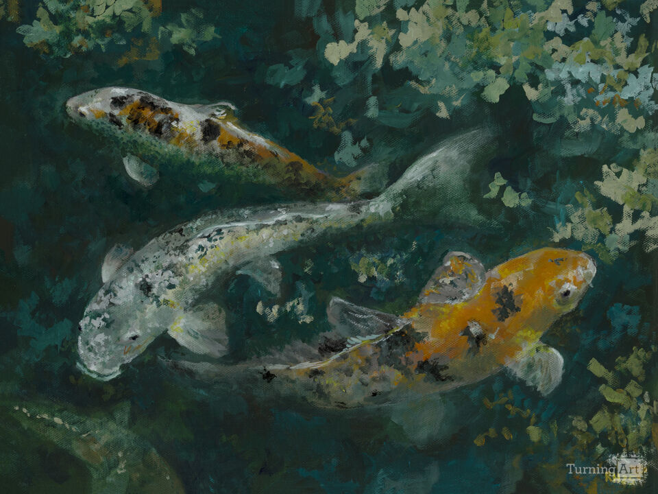 Three Colorful Koi