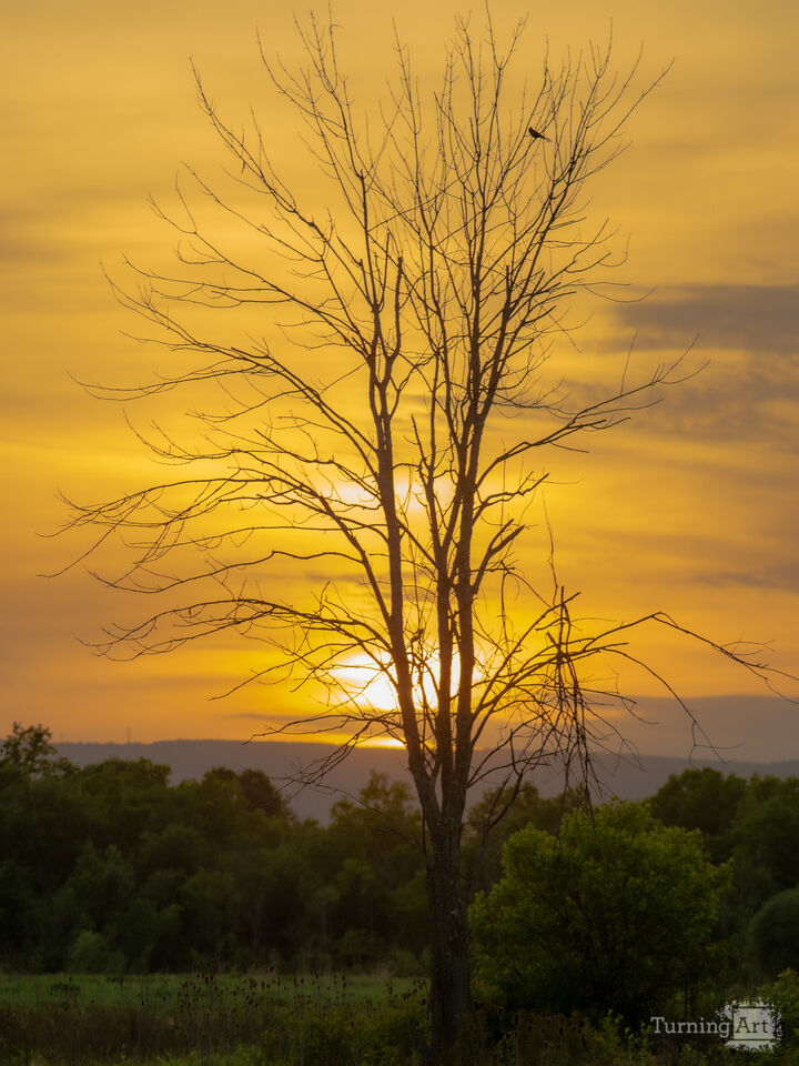 Shawangunk Sunrise