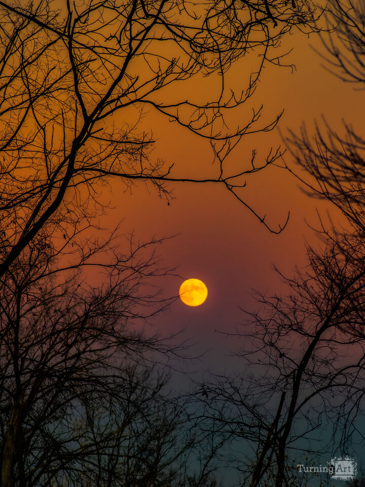 Sunset Moon