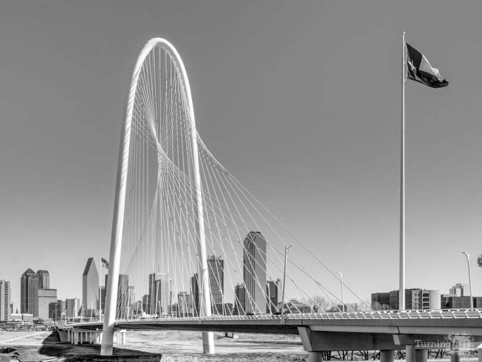 Dallas Architecture In Motion Grayscale