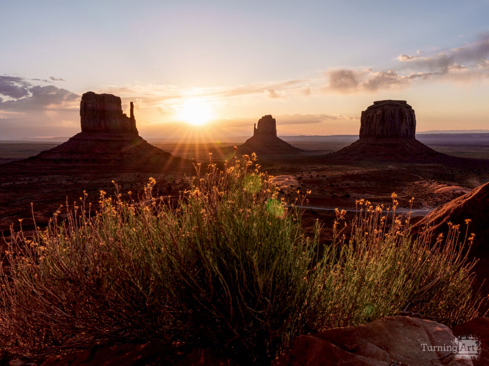 Monument Valley Desert Blooms Sunrise