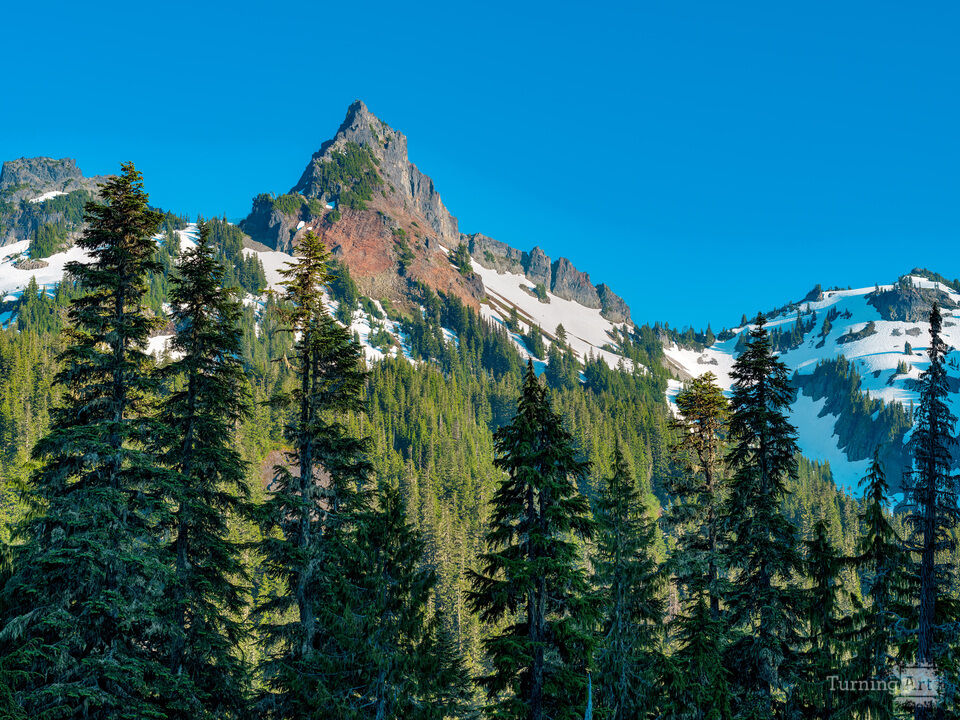 Mount Rainier National Park