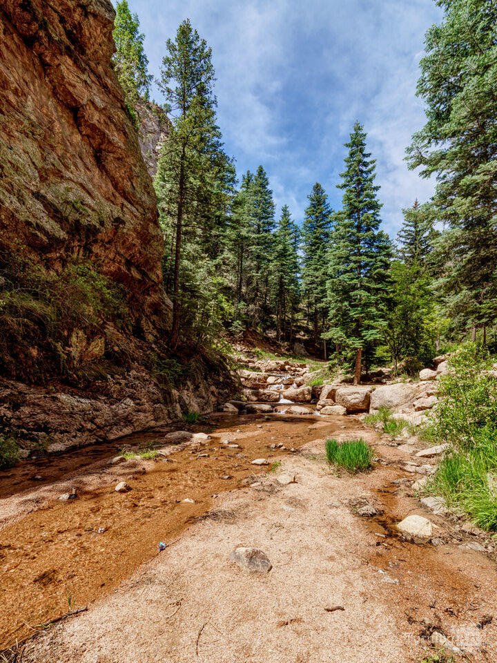 Colorado Forest Cliffside Creek View