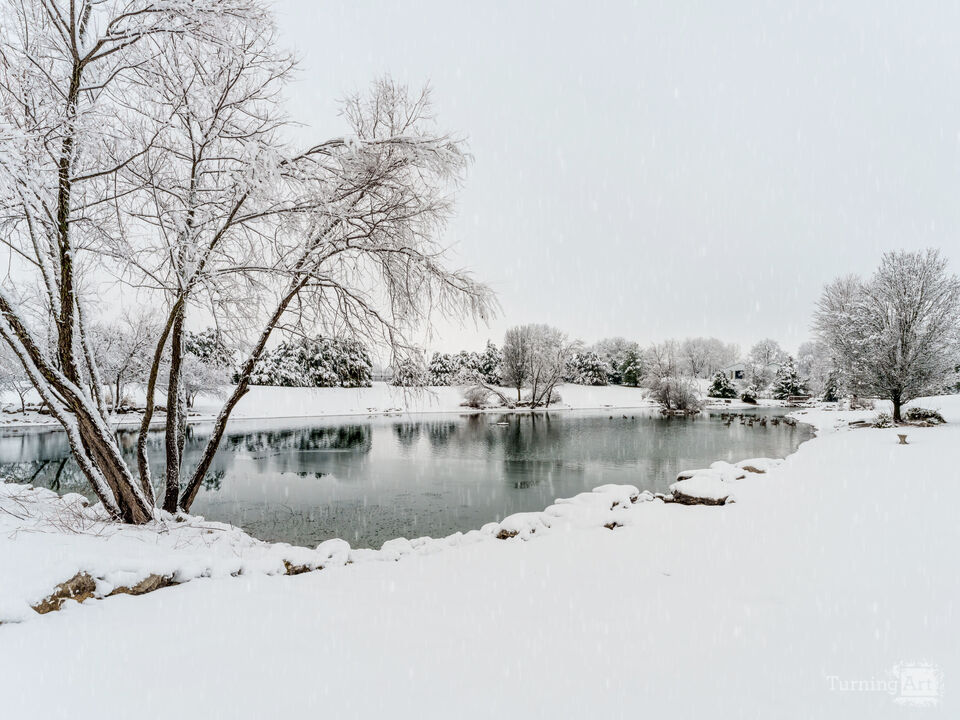 Winters Quiet Moment At The Pond
