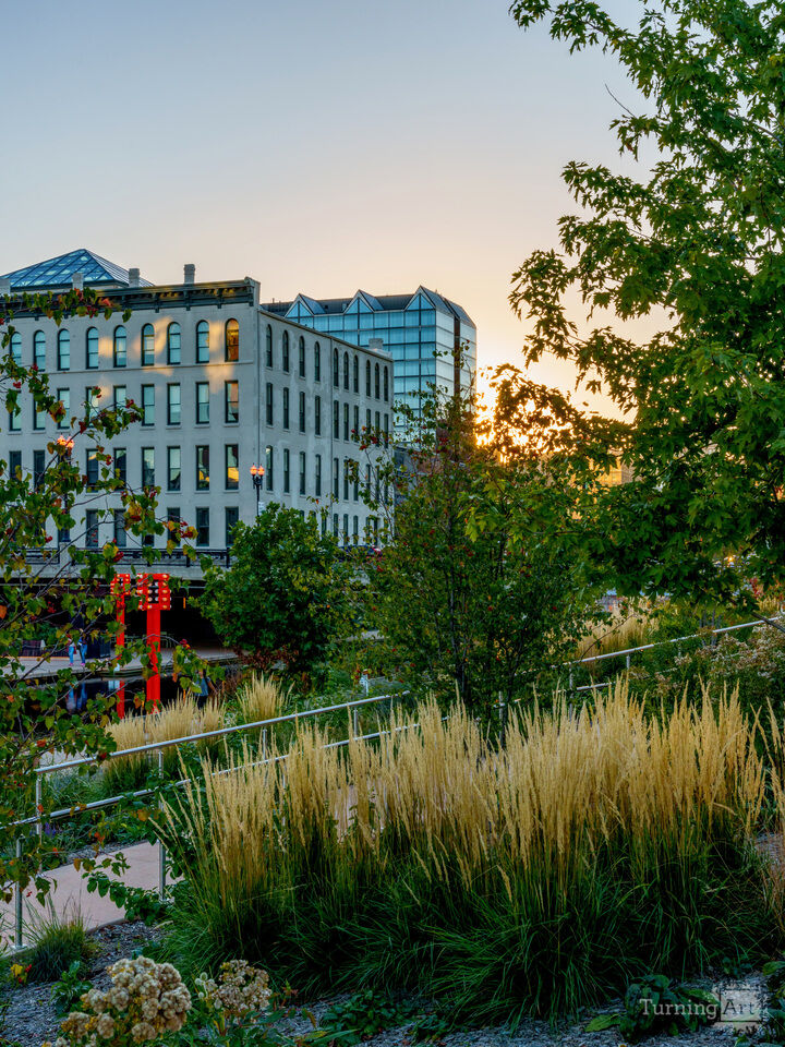 Omaha City Dusk View Through Landscaping