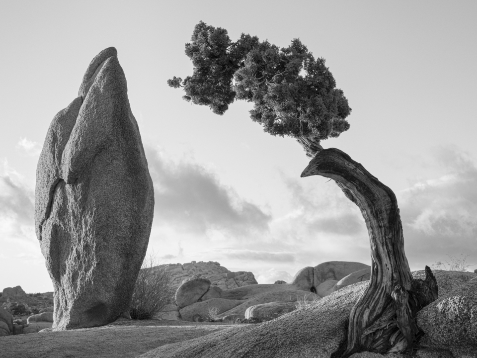 Balanced Rock 