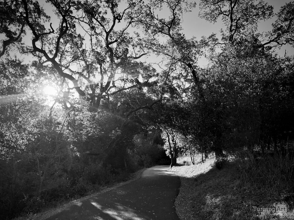 Path to New Beginnings