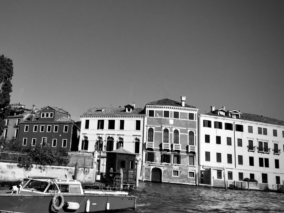 Puppy's Gondola Ride