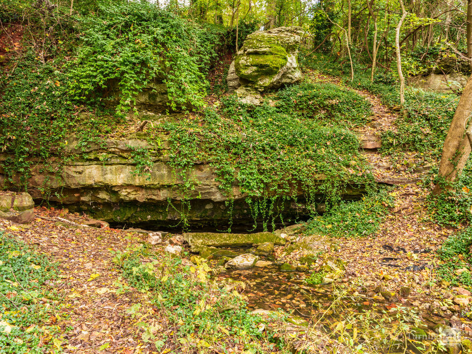 Sarcoxie Missouri Cave