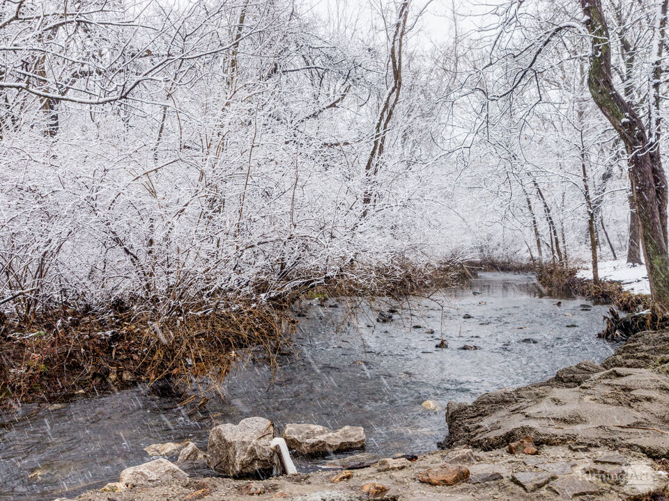 Winter Snow Fall On South Creek