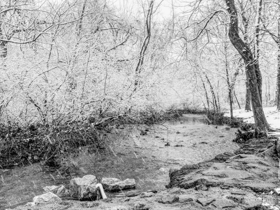 Winter Snow Fall On South Creek