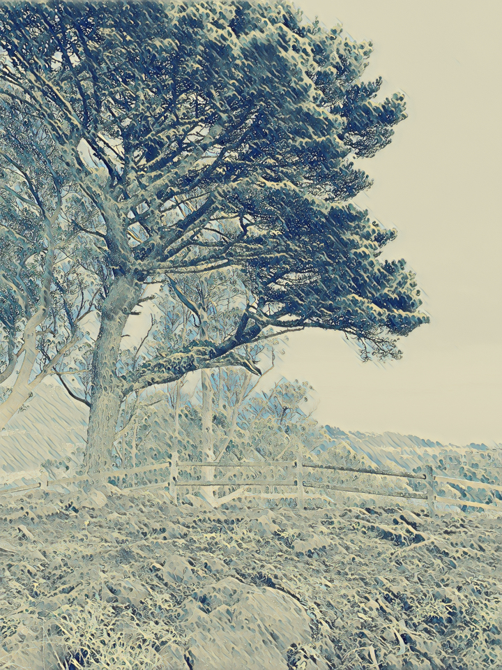 Grand View Hill 8473