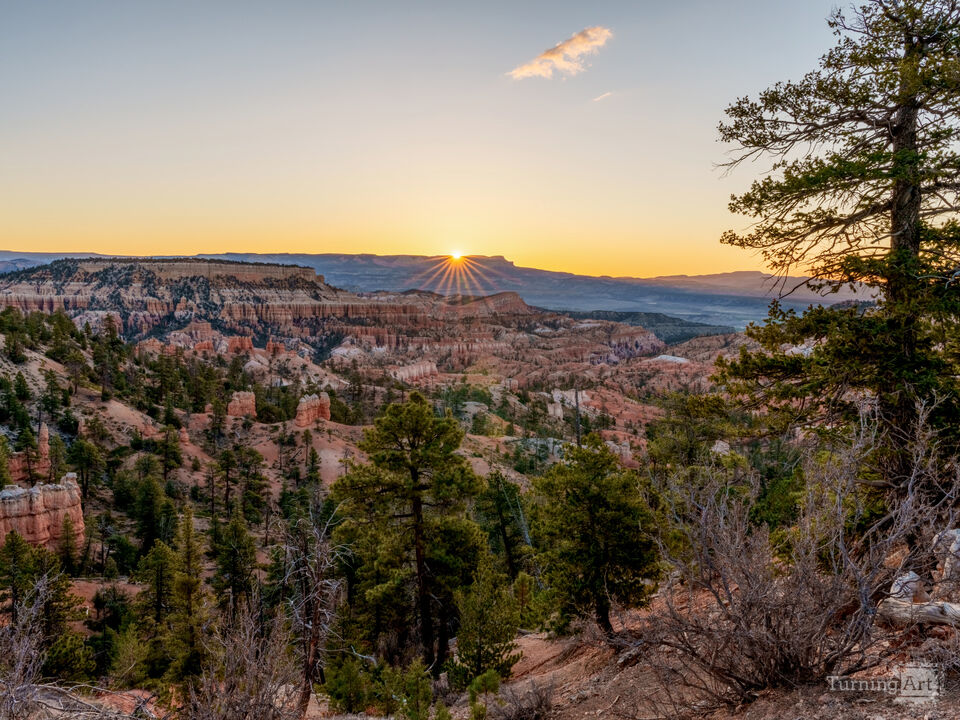 Horizon Morning Sunburst At Bryce Canyon