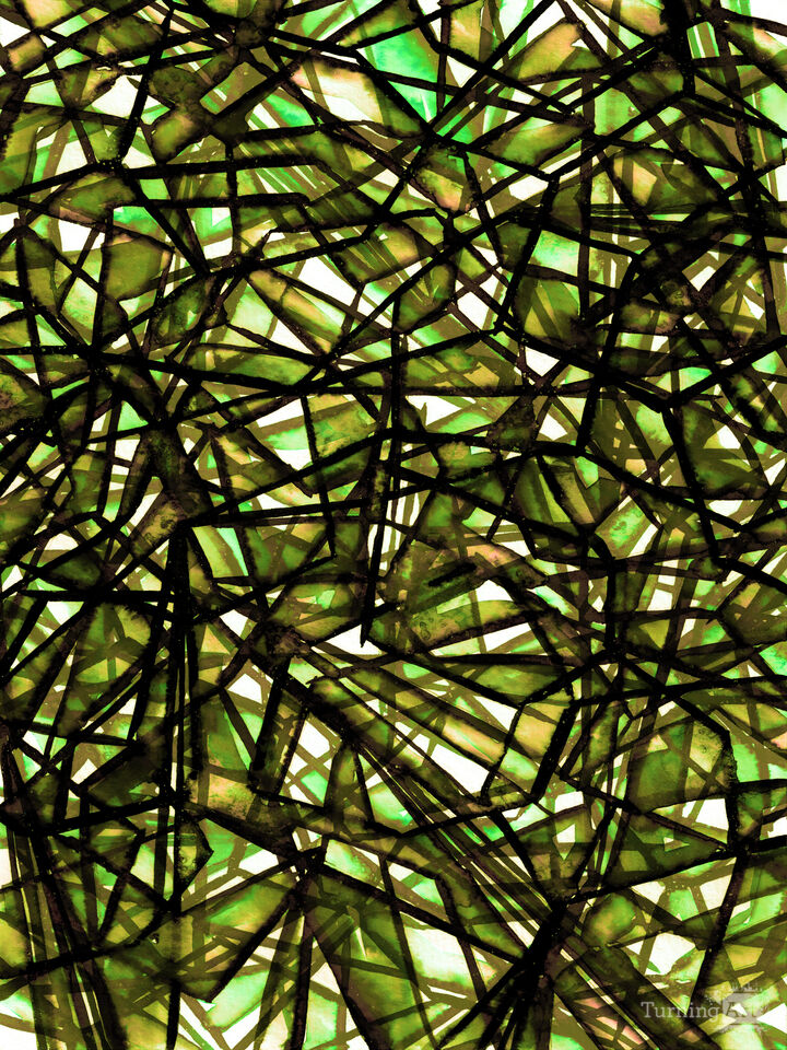 UNCHARTED, LIME GREEN - GEOMETRIC ABSTRACT