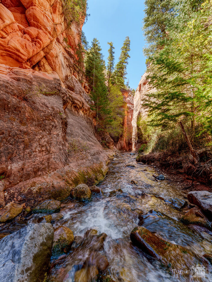 Water Flow Through Spring Creek Canyon