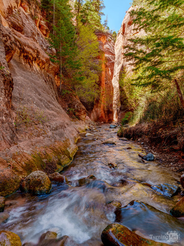 Flowing Waters Through Spring Creek Canyon