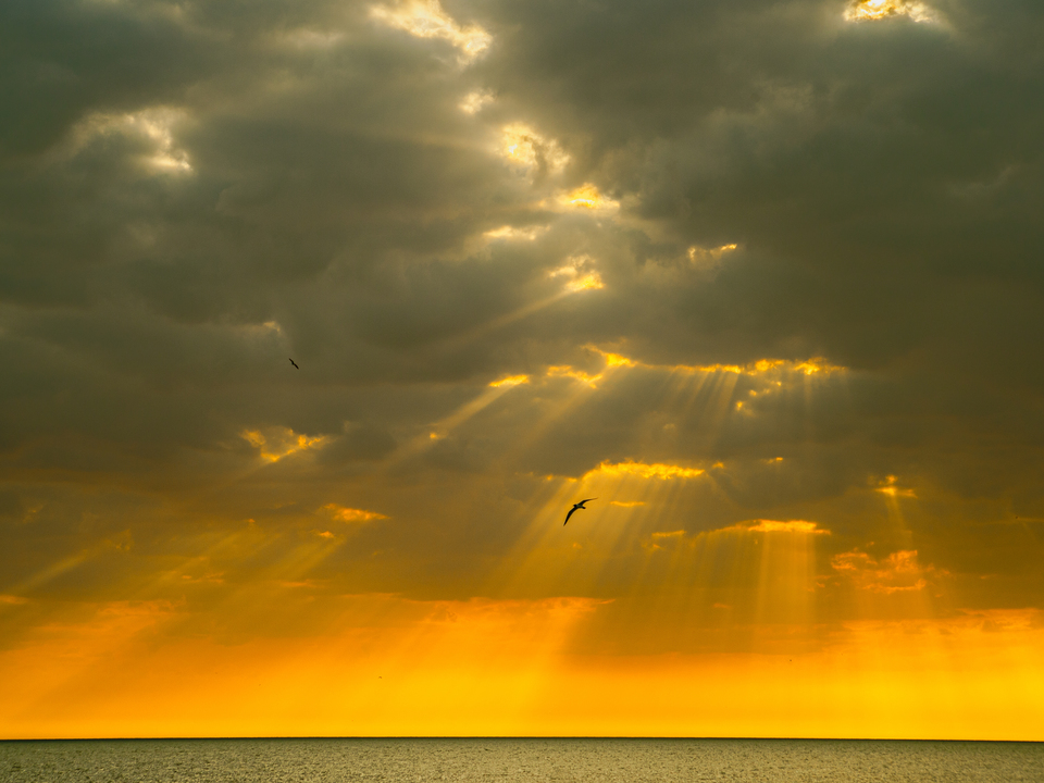 Where the Light Falls