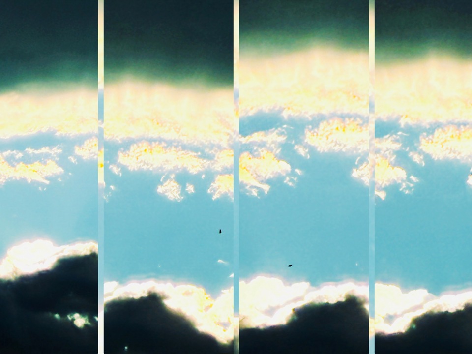 Angels Of The Horizon