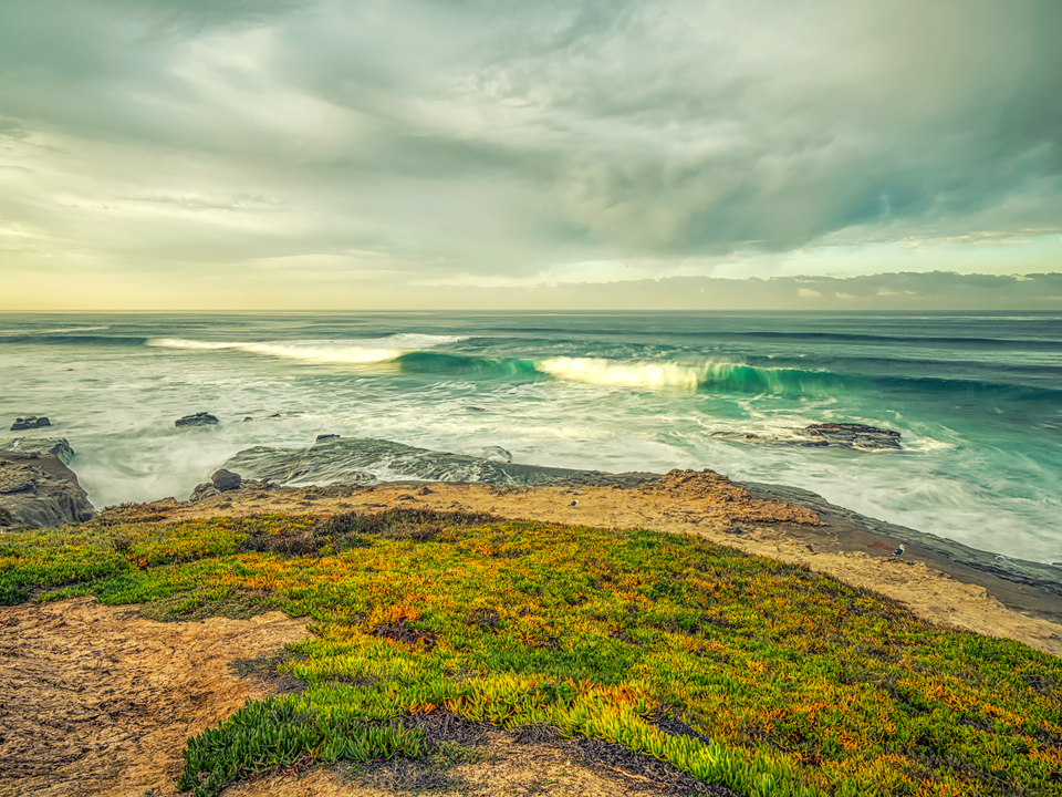 Serene Ocean Waves - Windansea Beach