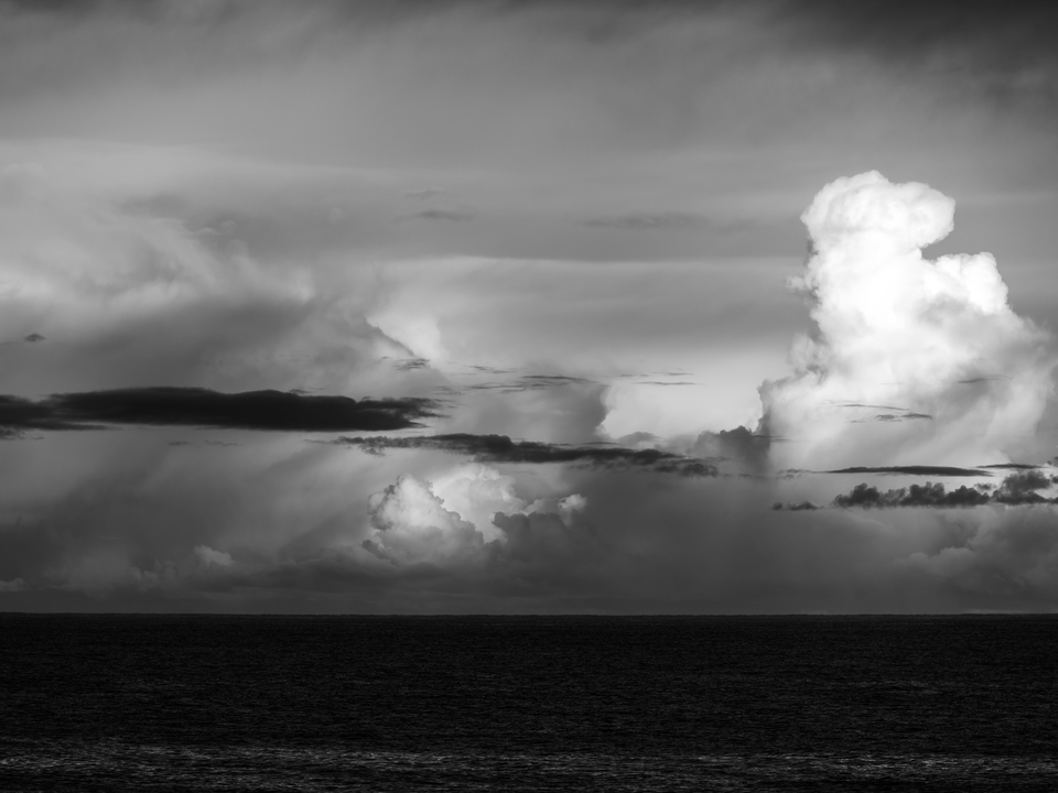 Towering Dreams On The Coast