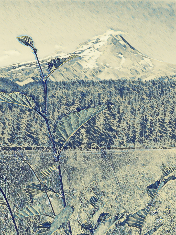 Rain On Mount Hood 4822