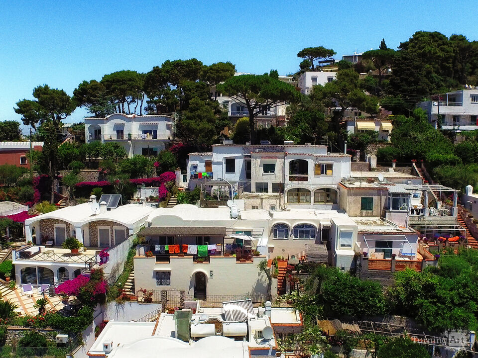 Series 110: I Am Now A Full-Time Drone Fine Artist