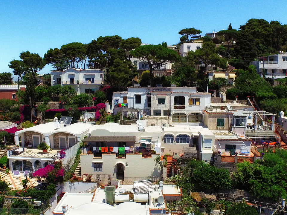 Series 110: I Am Now A Full-Time Drone Fine Artist