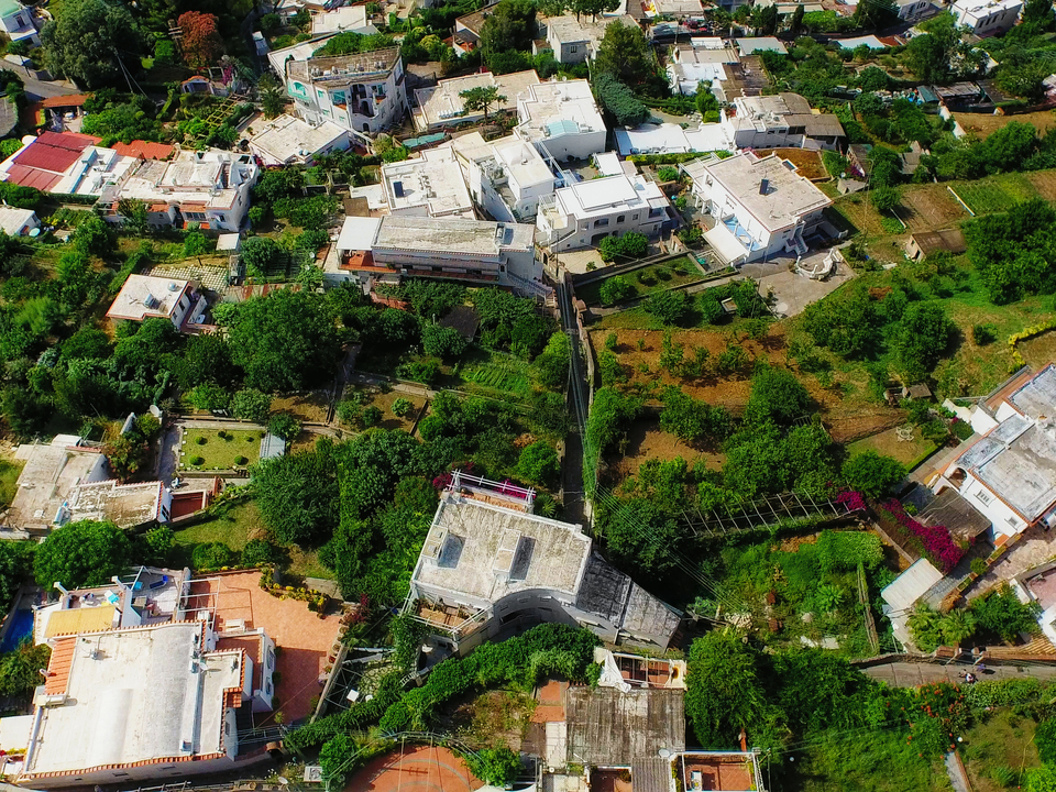 Series 110: I Am Now A Full-Time Drone Fine Artist