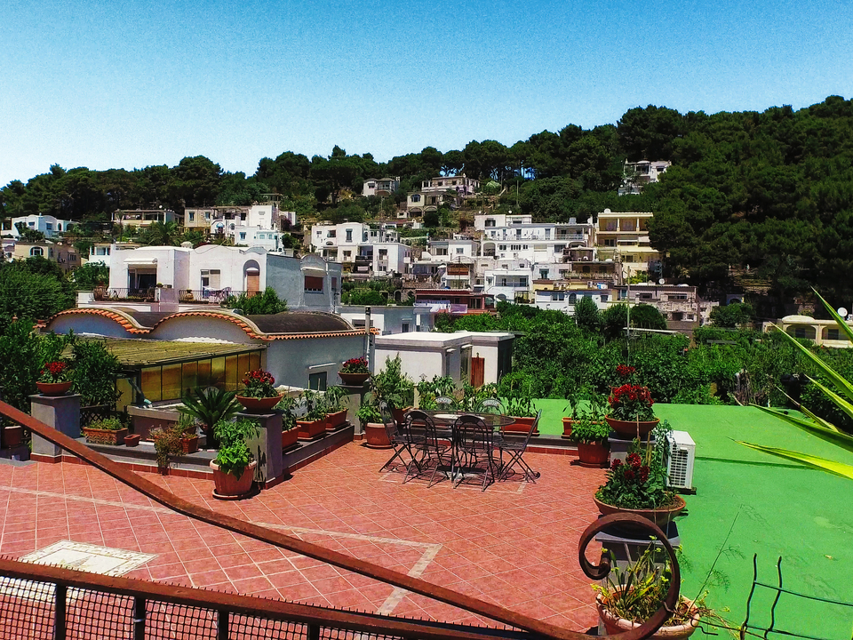 Series 110: I Am Now A Full-Time Drone Fine Artist