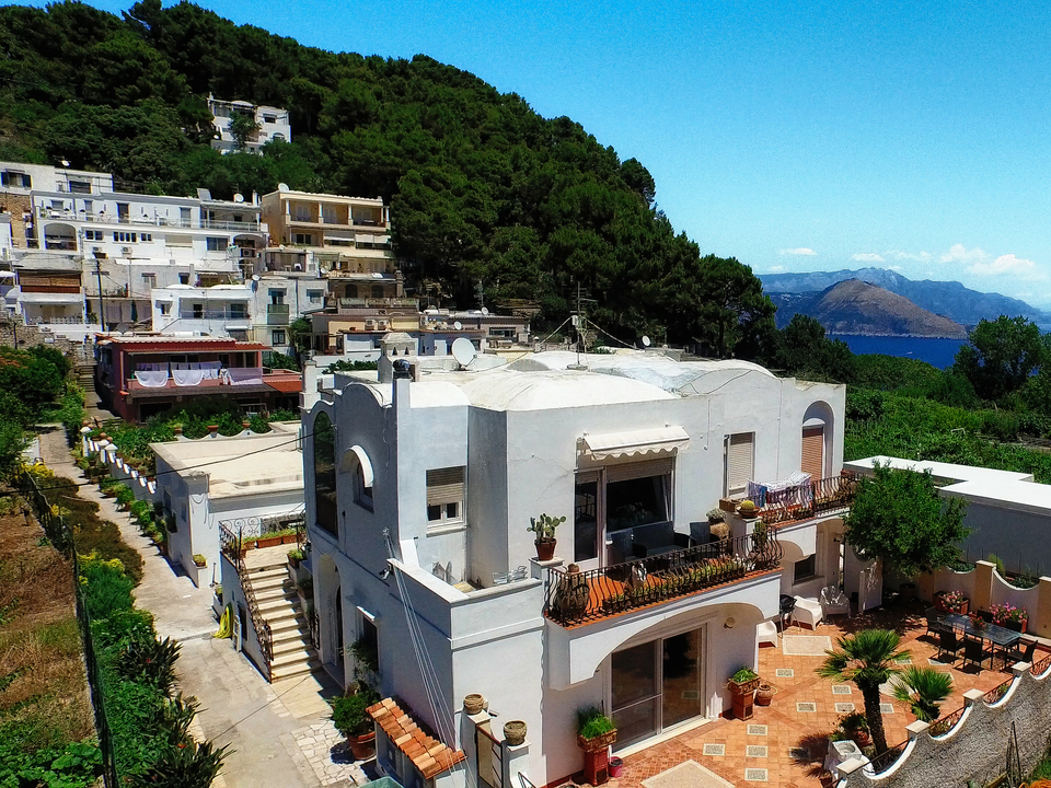 Series 110: I Am Now A Full-Time Drone Fine Artist