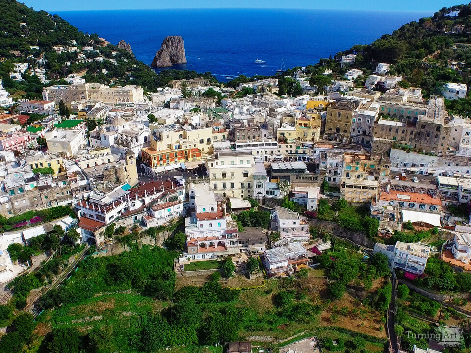 Series 110: I Am Now A Full-Time Drone Fine Artist