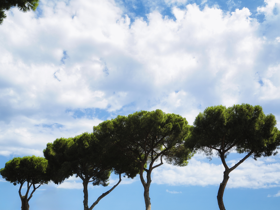 Series 111: To Drone in Ancient Rome